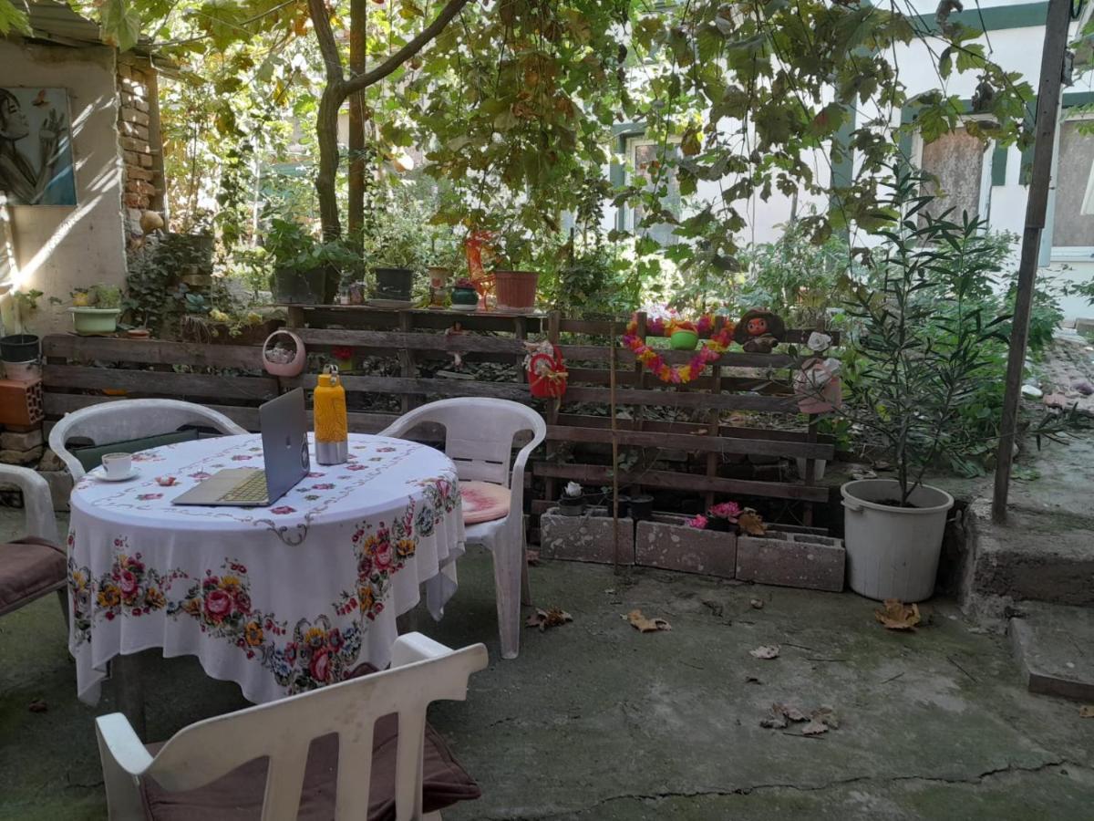 스코페 Adem'S Cozy Terrace Retreat B&B 외부 사진
