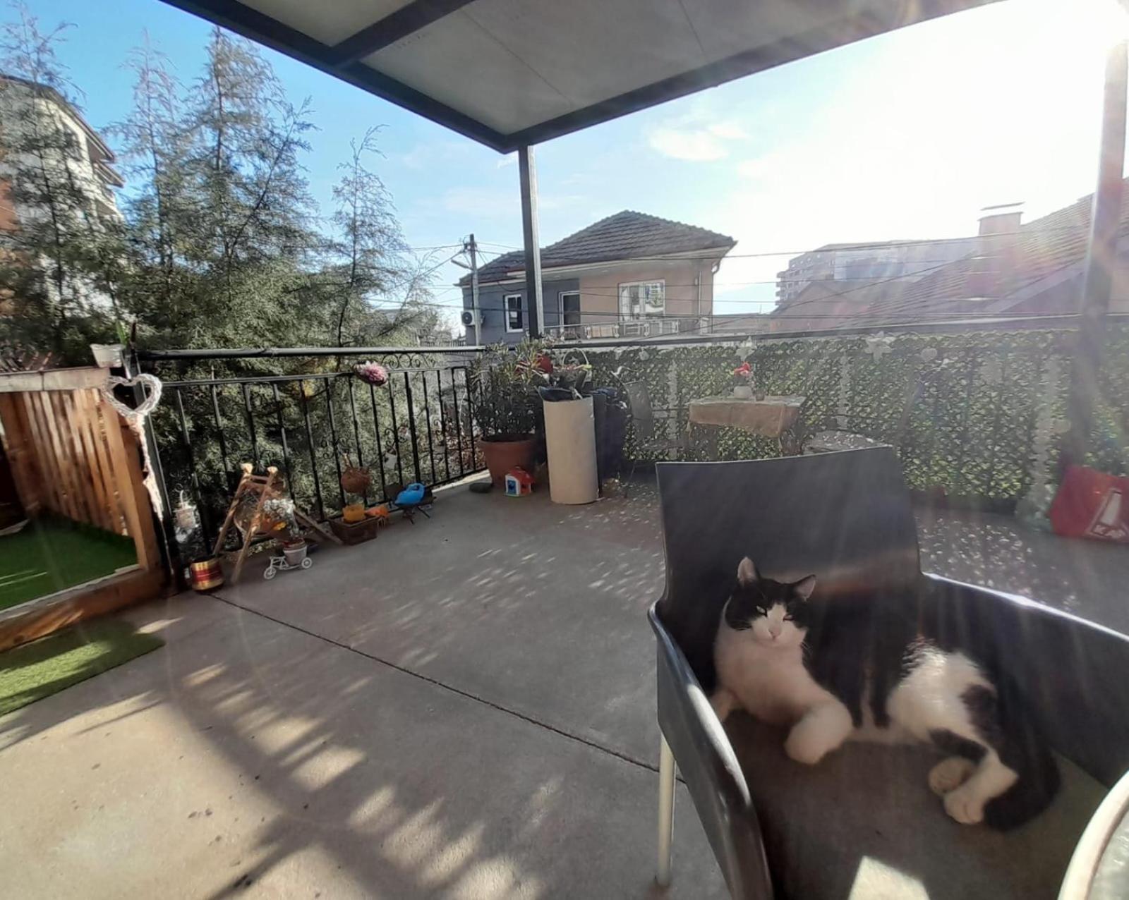스코페 Adem'S Cozy Terrace Retreat B&B 외부 사진